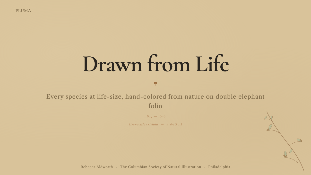 Audubon Birds of America design style applied to a Slide · cover
