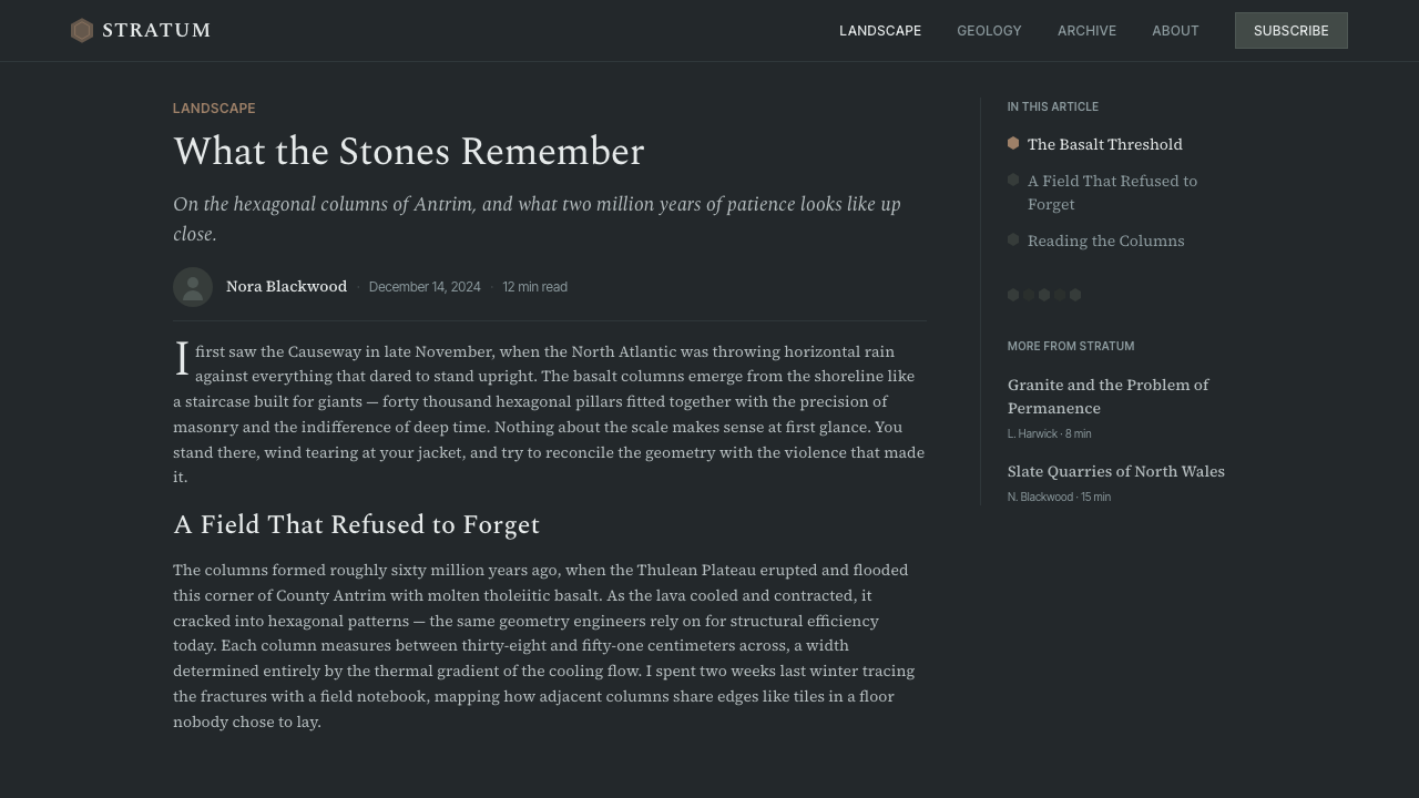 Giant's Causeway Basalt design style applied to a Article page