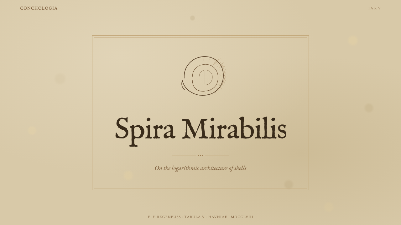 Conchology Shell Plate design style applied to a Slide · cover