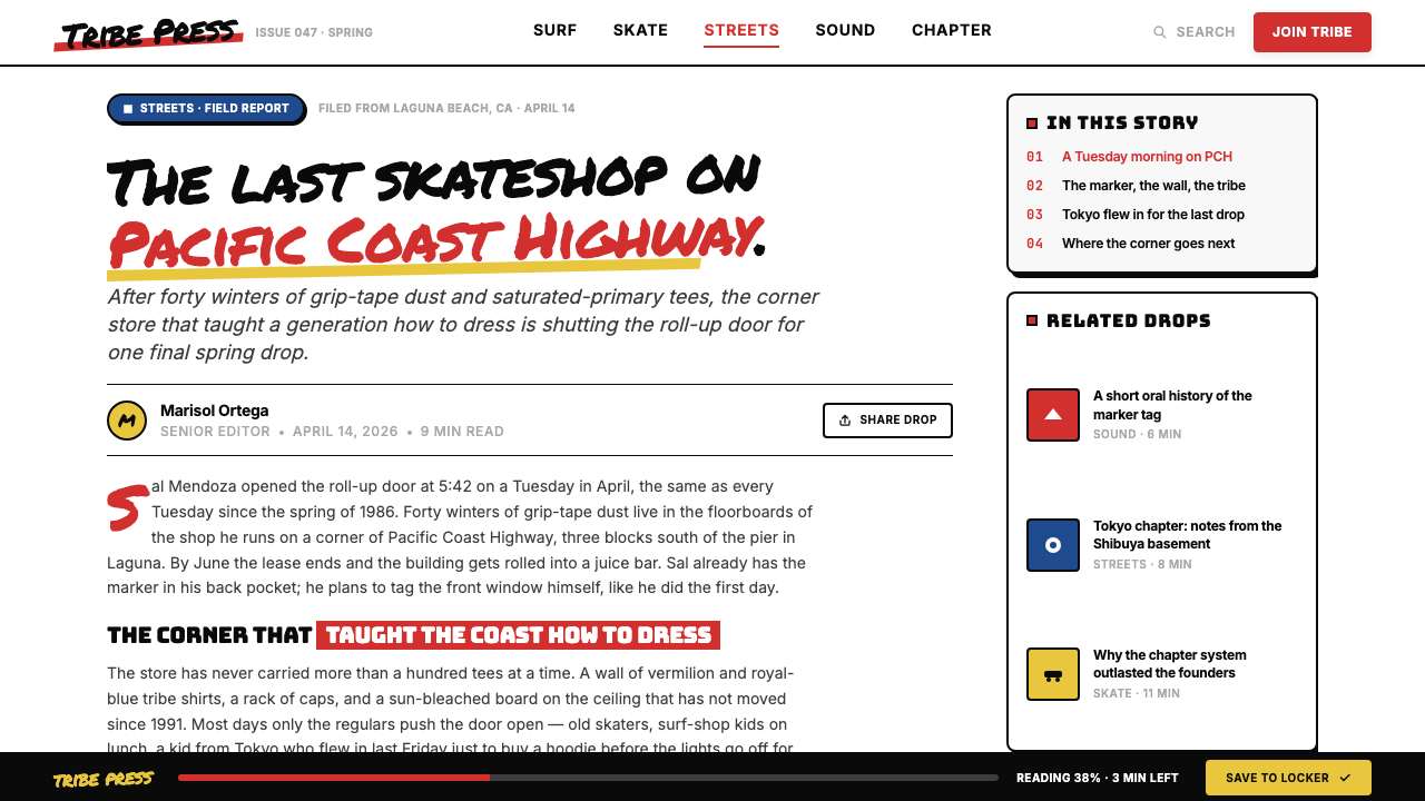Stüssy Streetwear design style applied to a Article page