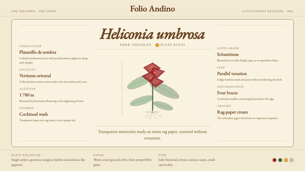 Colombian Botanical (Triana) design style — example