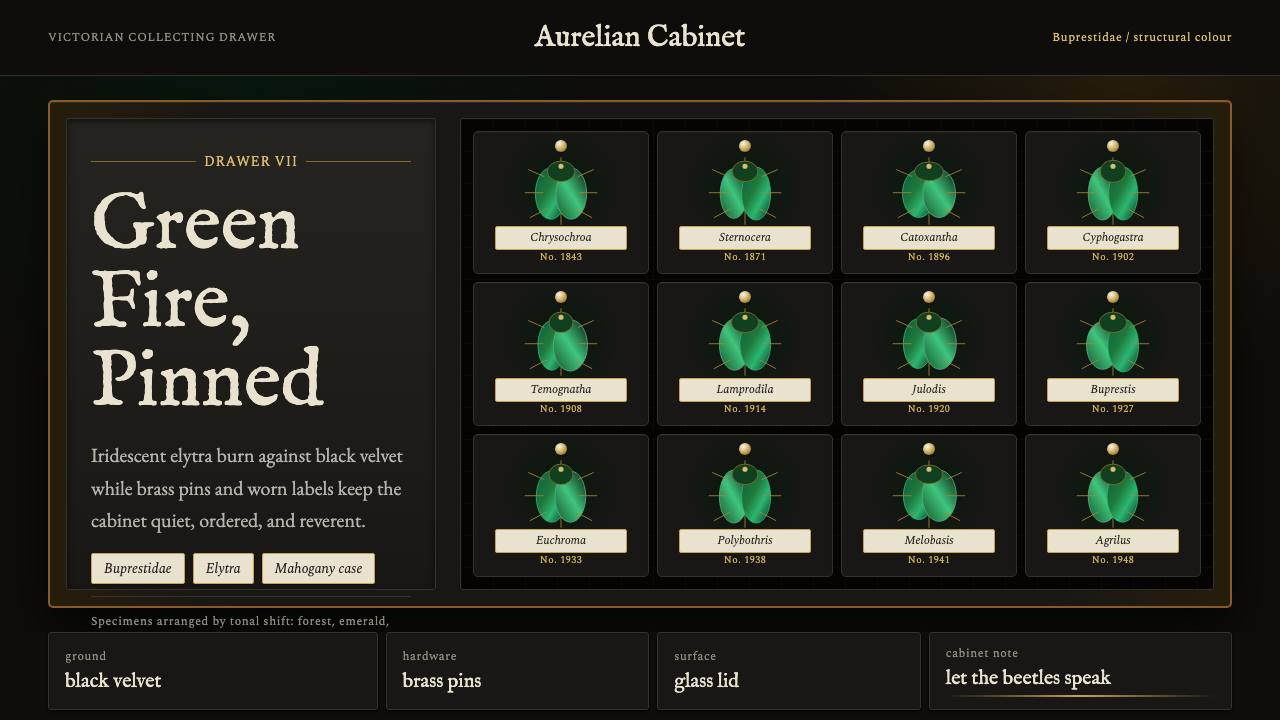 Beetle Specimen Cabinet design style — example